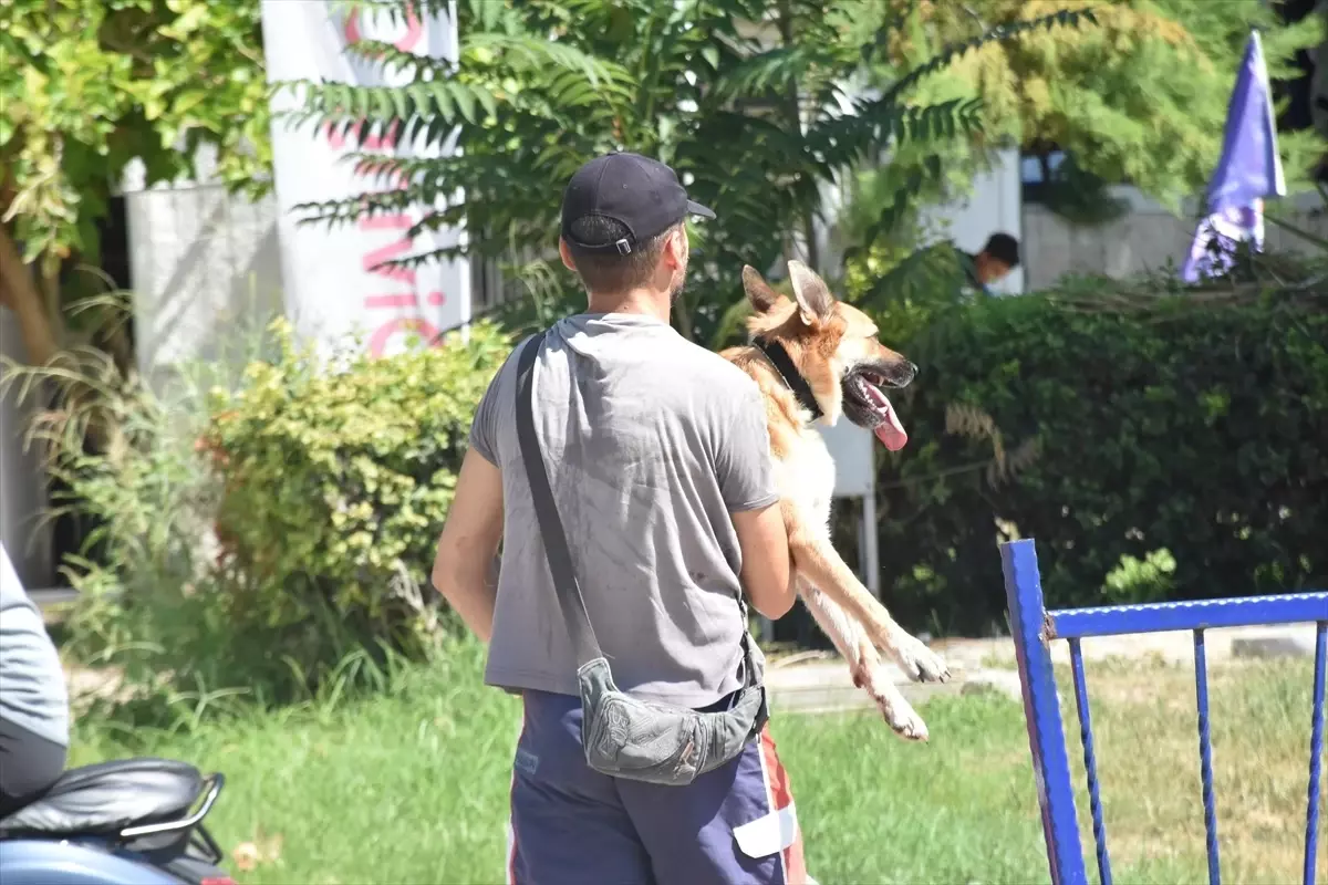 Antalya'da Falezlerden Düşen Köpek Kurtarıldı