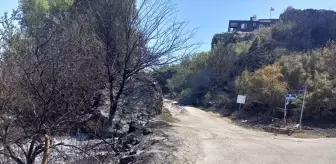 Antalya'da yerleşim bölgesine yakın alanda çıkan yangın söndürüldü