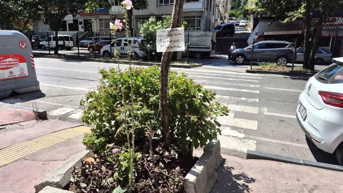 Samsun'da esnaf, ürünlerini evcil hayvan dışkılarından korumak için ilginç bir yöntem kullanıyor