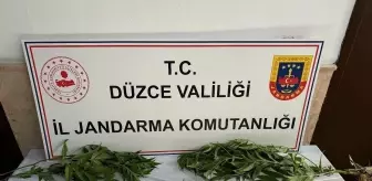 Düzce'de Uyuşturucu Operasyonu: 4 Tutuklama