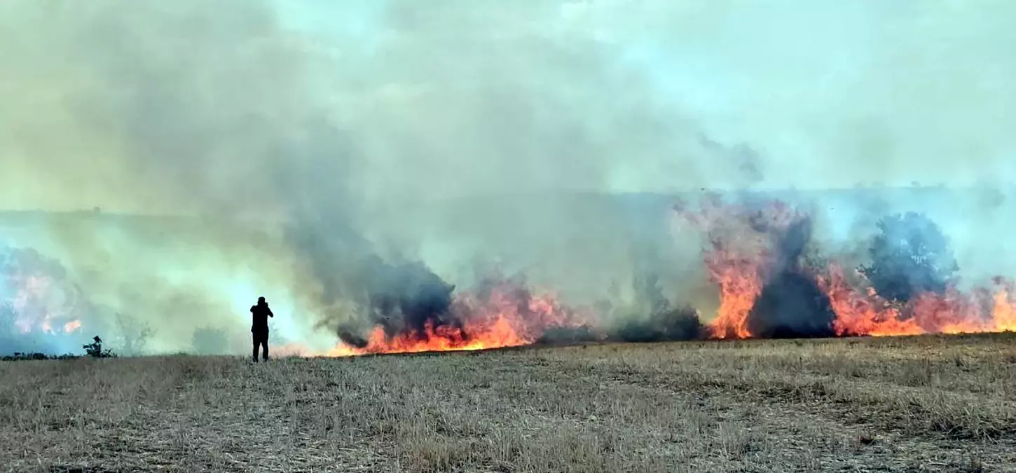 Edirne'de çıkan yangında 10 bin dönüm tarım alanı zarar gördü