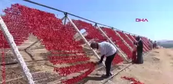 Gaziantep'te Kurutmalık Sebzelerin Üretimi Artıyor