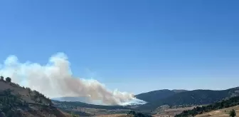 Konya Ilgın'da Orman Yangını Çıktı