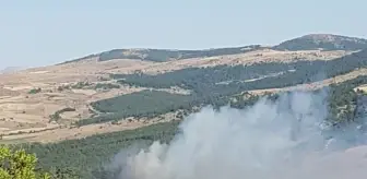 Ilgın'da çıkan yangın söndürüldü, 2 kişi gözaltına alındı