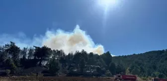 Konya'nın Ilgın ilçesinde orman yangını çıktı