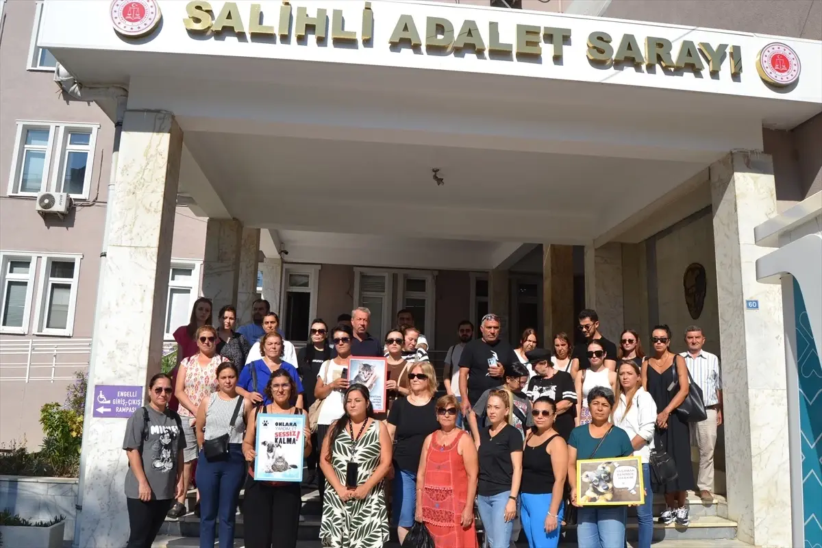 Manisa'da 3 Kedi Yavrusunu Öldüren Kişi Tutuklandı