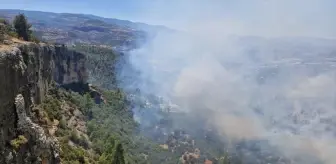 Silifke'de Orman Yangını Söndürme Çalışmaları Başladı