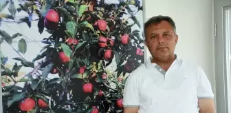 Niğde'den 15 ülkeye elma ihracatı