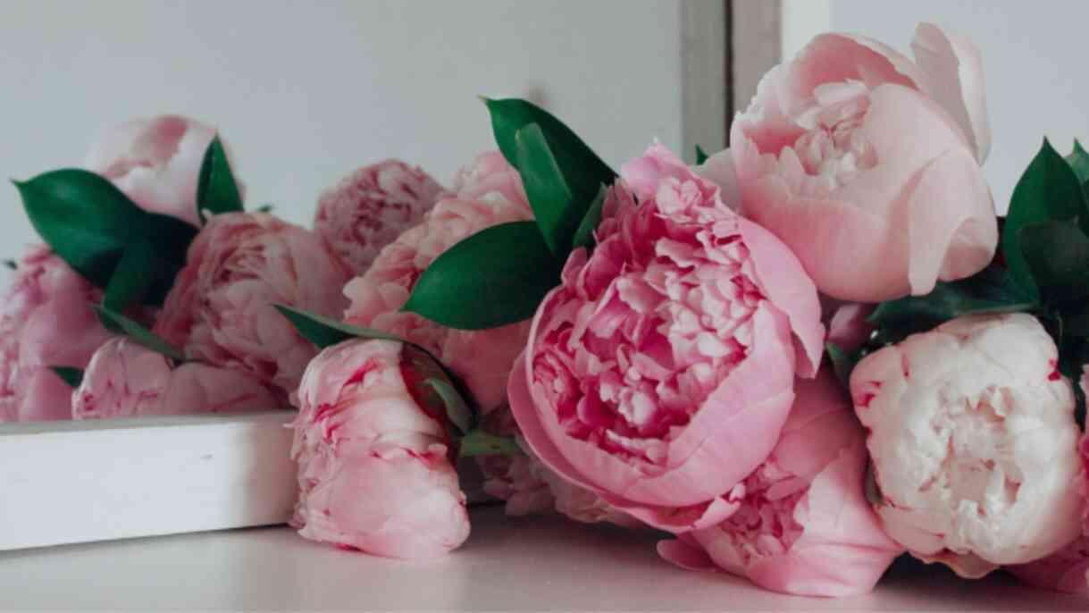 Şakayık çiçeği anlamı nedir, neyi temsil eder? Şakayık çiçeği mevsimi ne zaman?