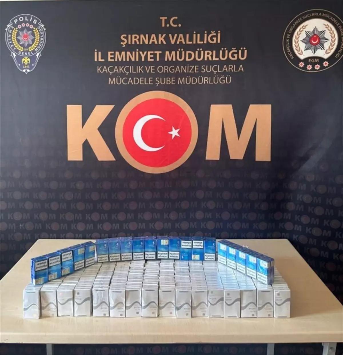 Şırnak'ta düzenlenen operasyonlarda 4 kişi tutuklandı