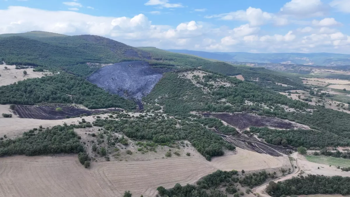 Tokat Erbaa'da 6 Saat Süren Orman Yangını Söndürüldü