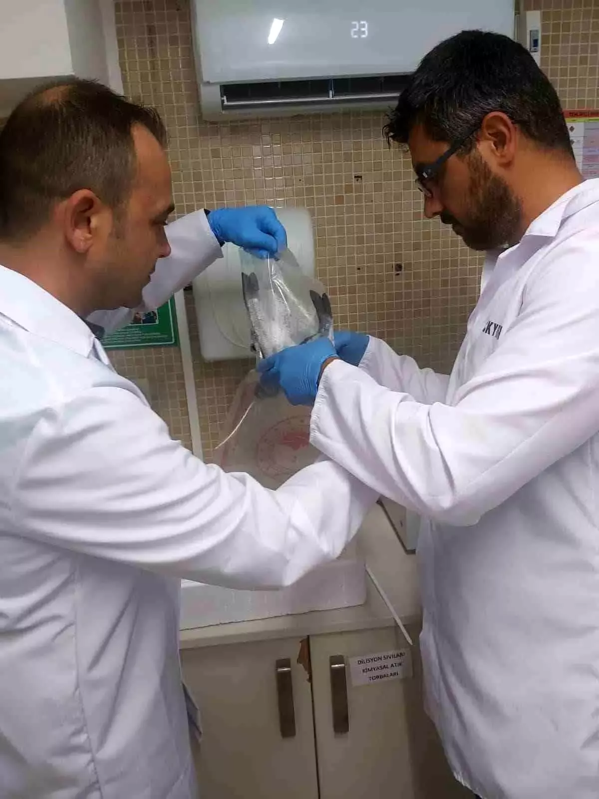 Aydın'dan Rusya'ya 13 Bin 776 Kilogram Balık İhracatı