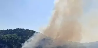 Çanakkale'de Orman Yangınına Havadan ve Karadan Müdahale