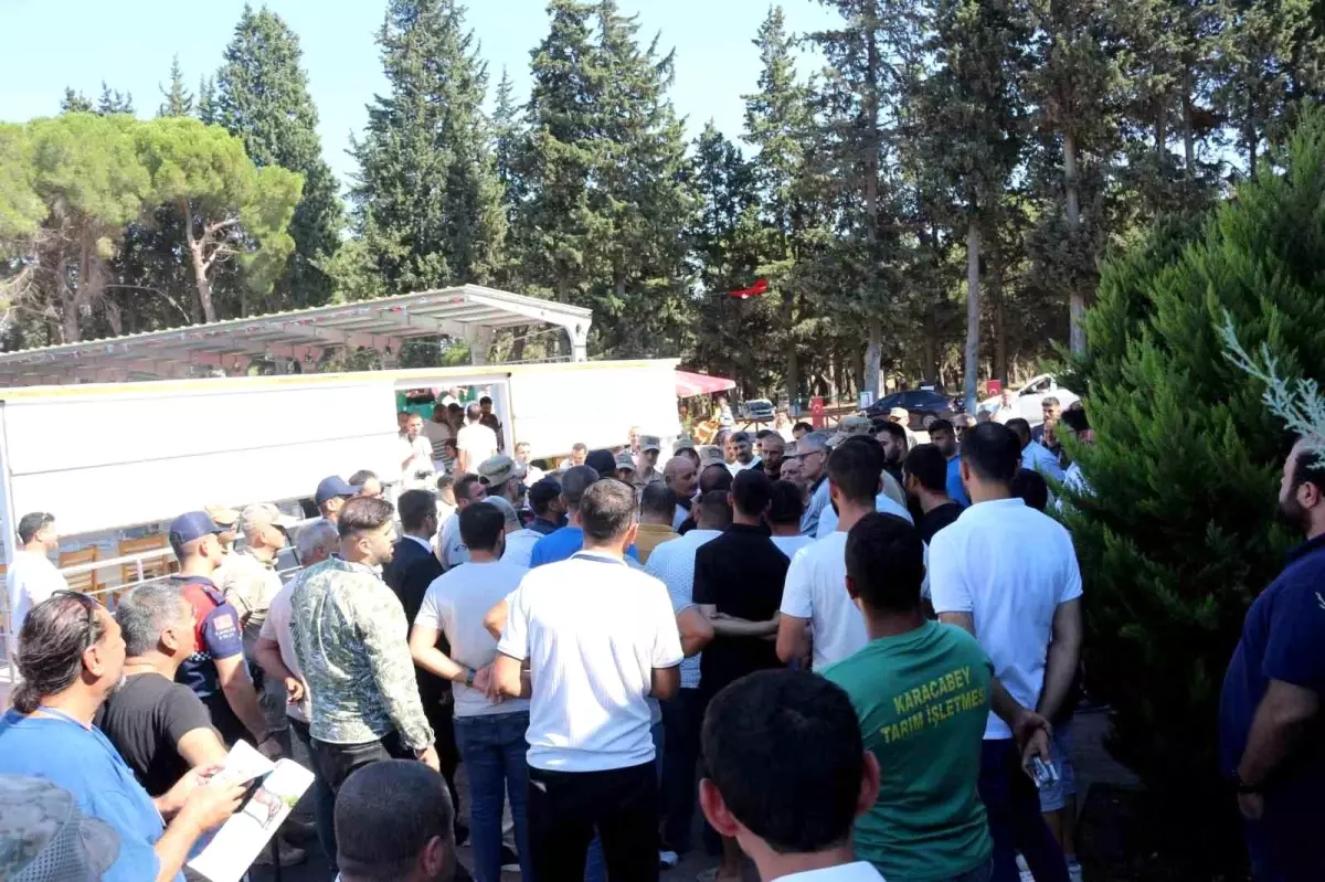 Karacabey Harası'nda 54 Tayın Satışından 20 Milyon 845 Bin Lira Gelir Elde Edildi