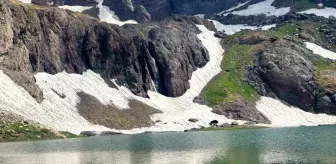 Hakkari Valisi Ali Çelik: Cilo Dağı huzur, güven, kardeşlik ve sevgidir