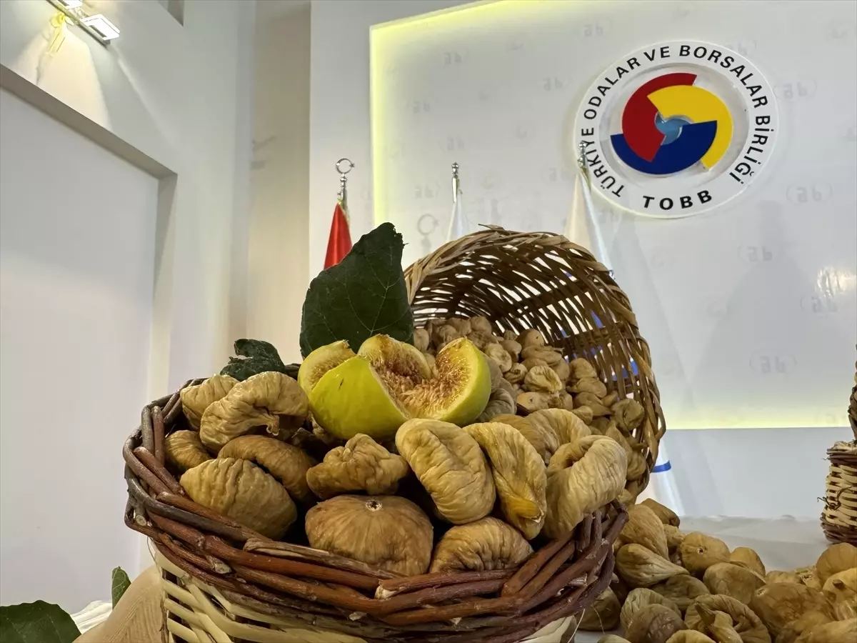 Türkiye'de kuru incir sezonu açıldı