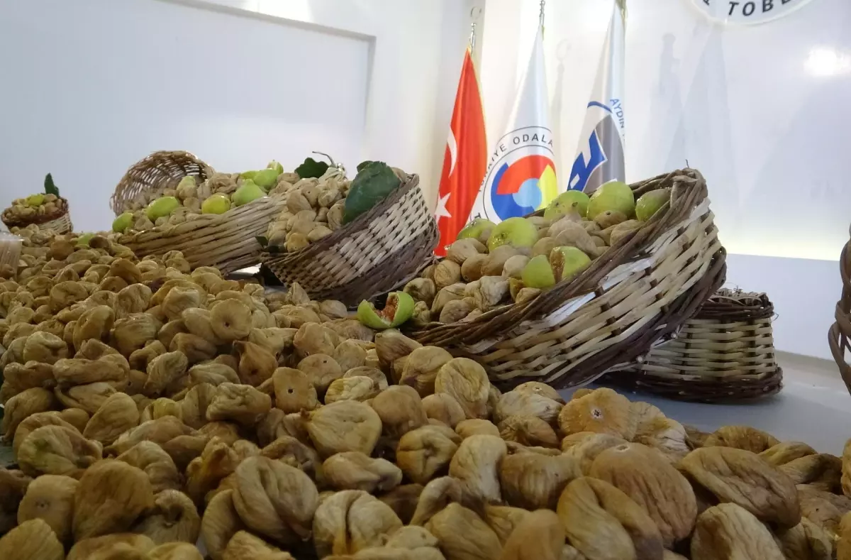 Aydın Ticaret Borsası Sezonun İlk Kuru İncirini Aldı