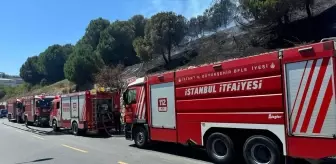 Başakşehir'de çıkan yangın kontrol altına alındı