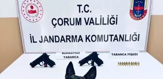 Çorum Alaca'da Jandarma Bomba Arama Köpeği İle Silah Ele Geçirildi