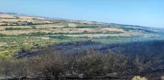 Edirne'de çıkan orman yangını söndürüldü