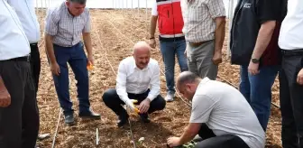 Adıyaman'da Sera-GES ile tarımsal üretim hızlanıyor