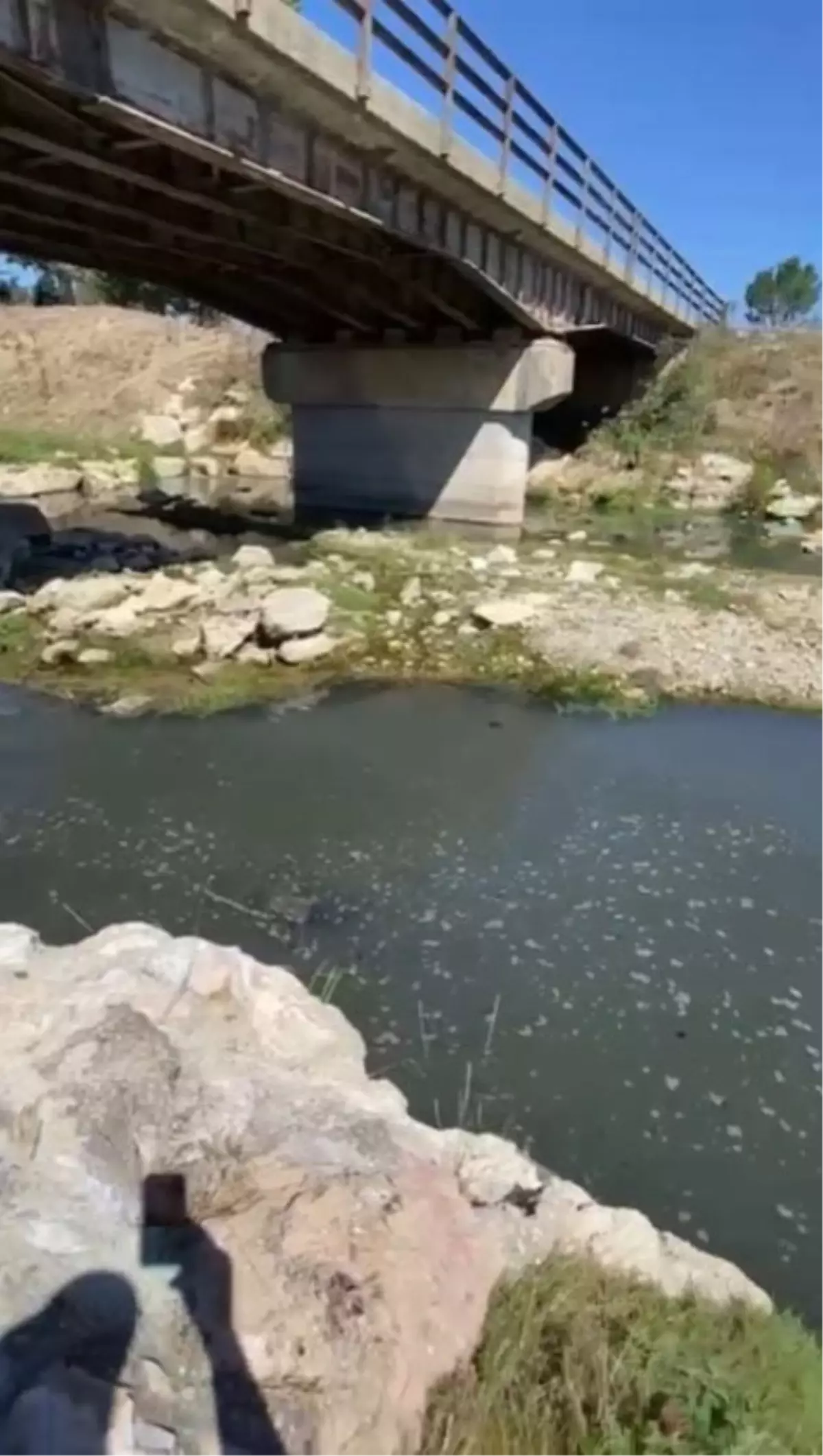 Bolu'da Patates Firmasına 1 Milyon 160 Bin TL Cezai İşlem