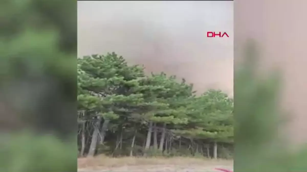 Bolu Göynük'te Ormanda Çıkan Yangın Kontrol Altına Alınmaya Çalışılıyor