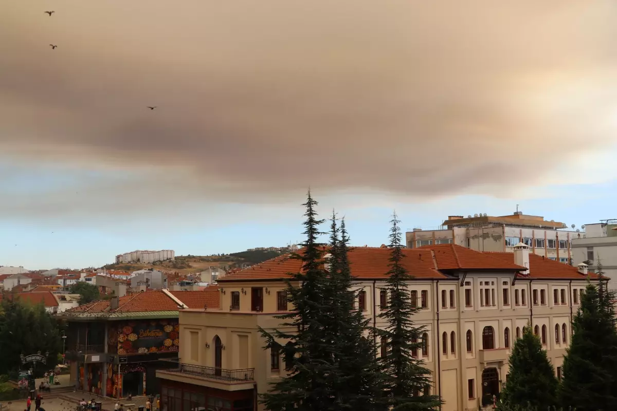 Eskişehir'de Orman Yangınından Kaynaklanan Dumanlar Gökyüzünü Kapladı
