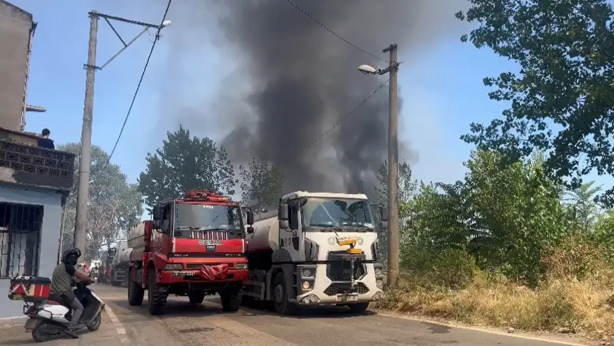 Bursa'da çıkan ot yangını 1,5 saatte kontrol altına alındı