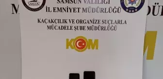 Samsun'da tefecilik operasyonunda 2 kişi yakalandı