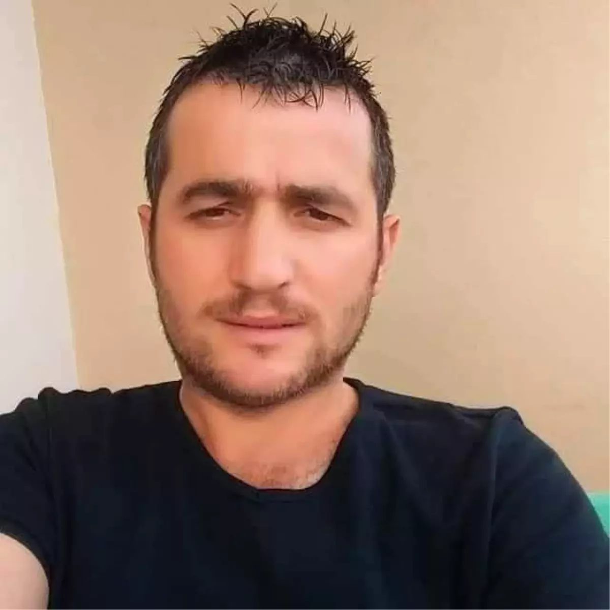 Artvin'de Arı Sokması Sonucu Hayatını Kaybetti