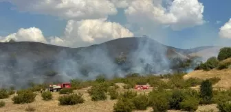 Bingöl'de merada ve ormanlık alanda çıkan yangın kontrol altına alındı