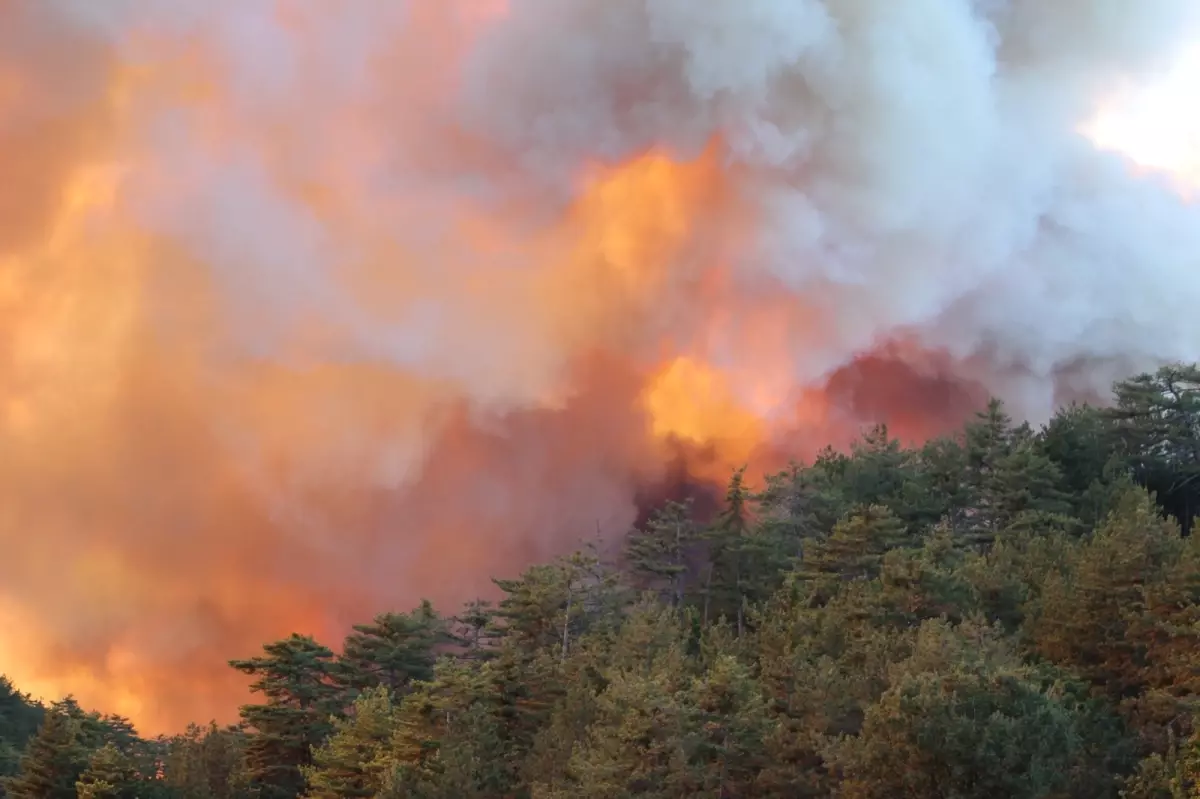 Bolu Göynük'te 100 hektarlık orman yangınına müdahale sürüyor