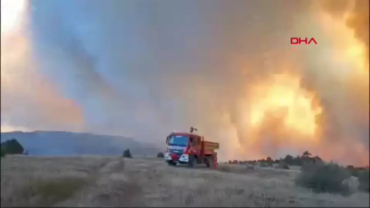 Bolu Göynük'te Orman Yangını: Havadan ve Karadan Müdahale Sürüyor