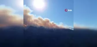 Bozdoğan'daki orman yangını için Muğla sınırında önlem alındı