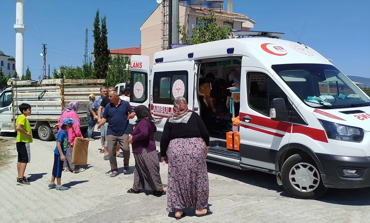 Sinop'ta kamyonetin çarptığı kadın hayatını kaybetti