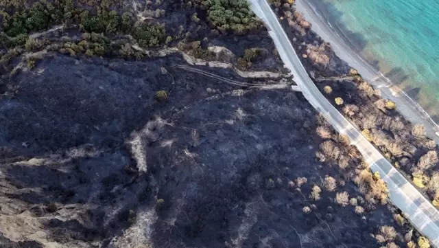 The loss experienced in a day due to a forest fire in Çanakkale was revealed.