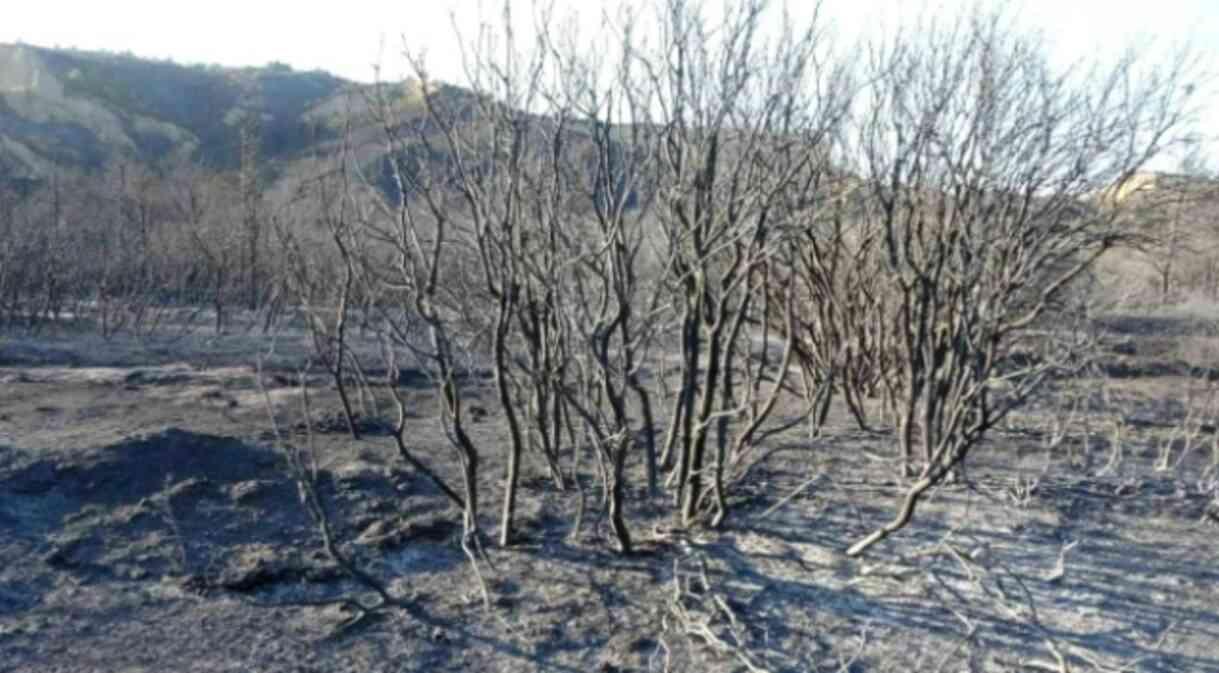 Çanakkale orman yangını söndürüldü mü? Çanakkale'de orman yangını nerede çıktı?
