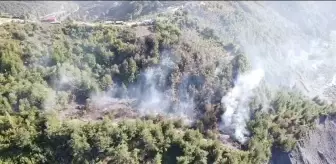 Zonguldak'ta deniz kenarındaki fındık bahçesinde yangın çıktı