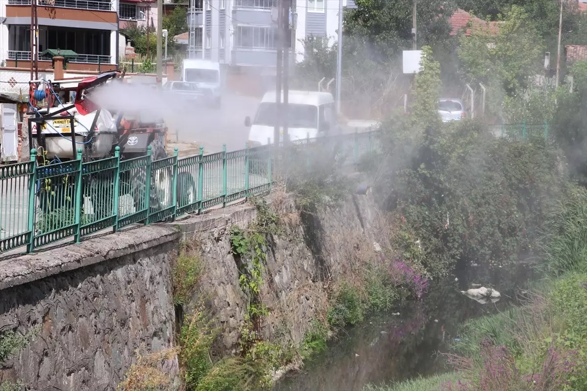 Havza Belediyesi Haşerelerle Mücadelede Larva İlaçlama Çalışması Yaptı