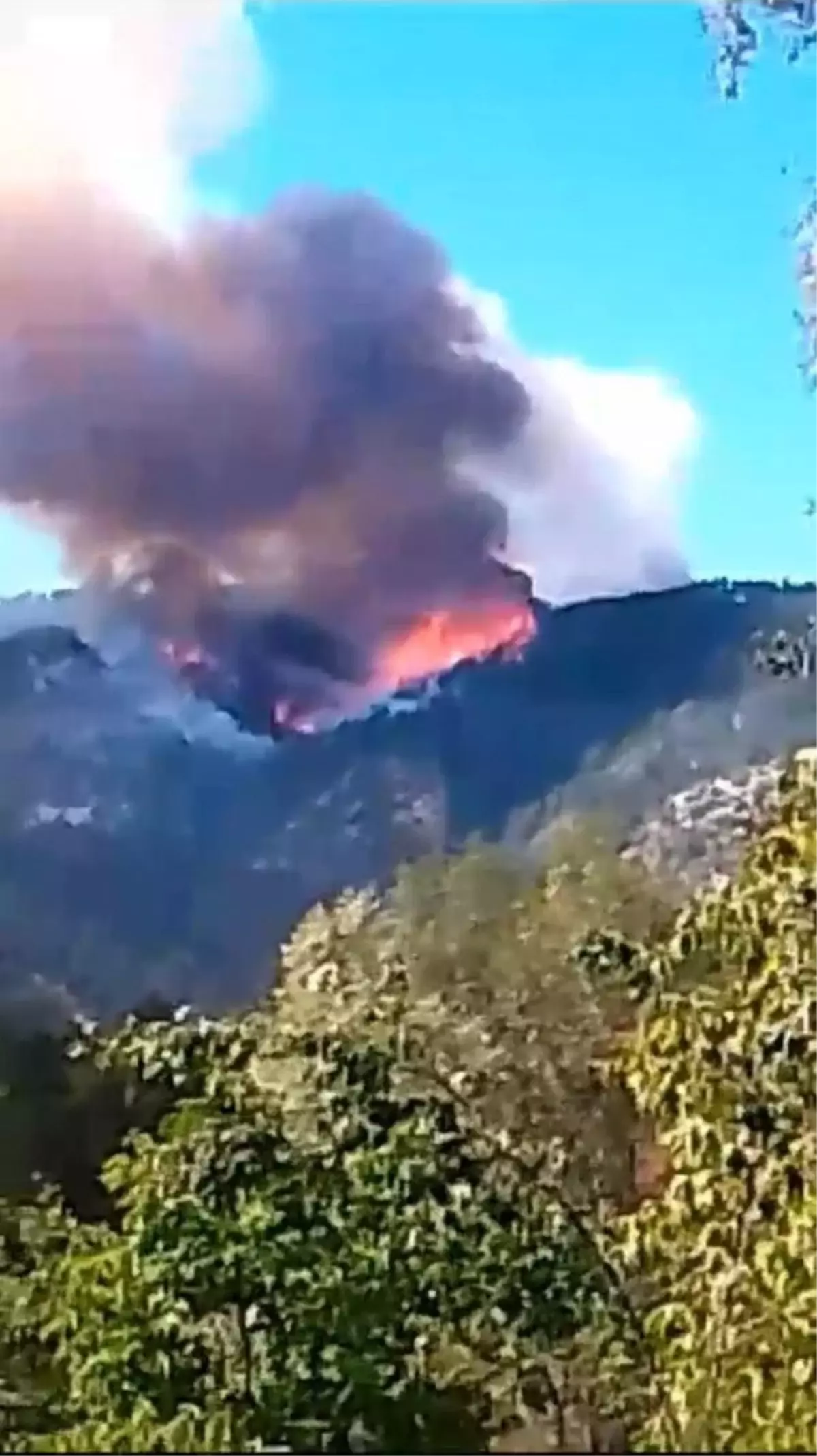 Karabük'ün Ovacık ilçesinde orman yangını çıktı