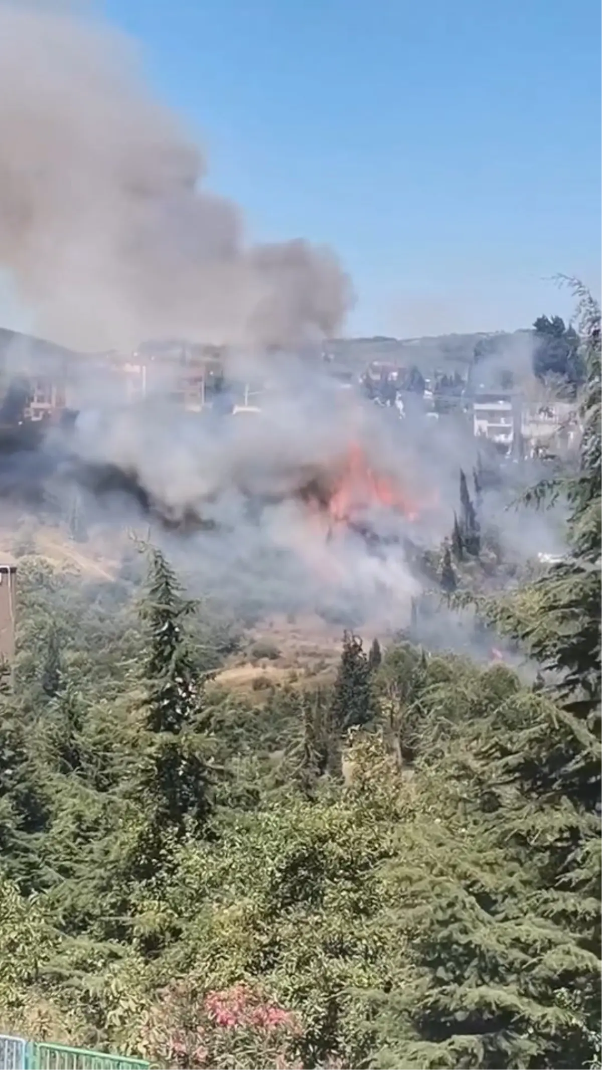 İzmit'te Evlere Yakın Noktada Yangın: 60 Dönüm Alan Zarar Gördü