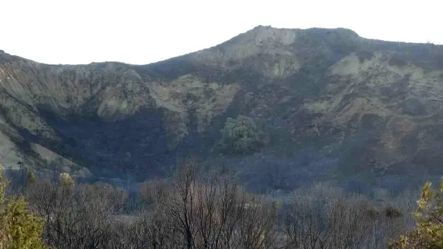 The fight against flames continues in Çanakkale! The loss experienced in a day is revealed