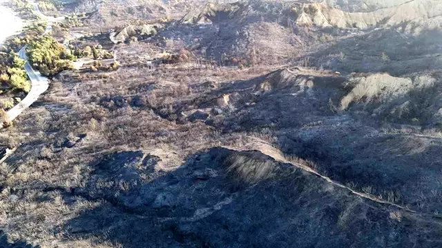 The fight against flames continues in Çanakkale! The loss experienced in a day is revealed