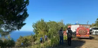 Zonguldak'ta fındık bahçesinde çıkan yangın kontrol altına alındı