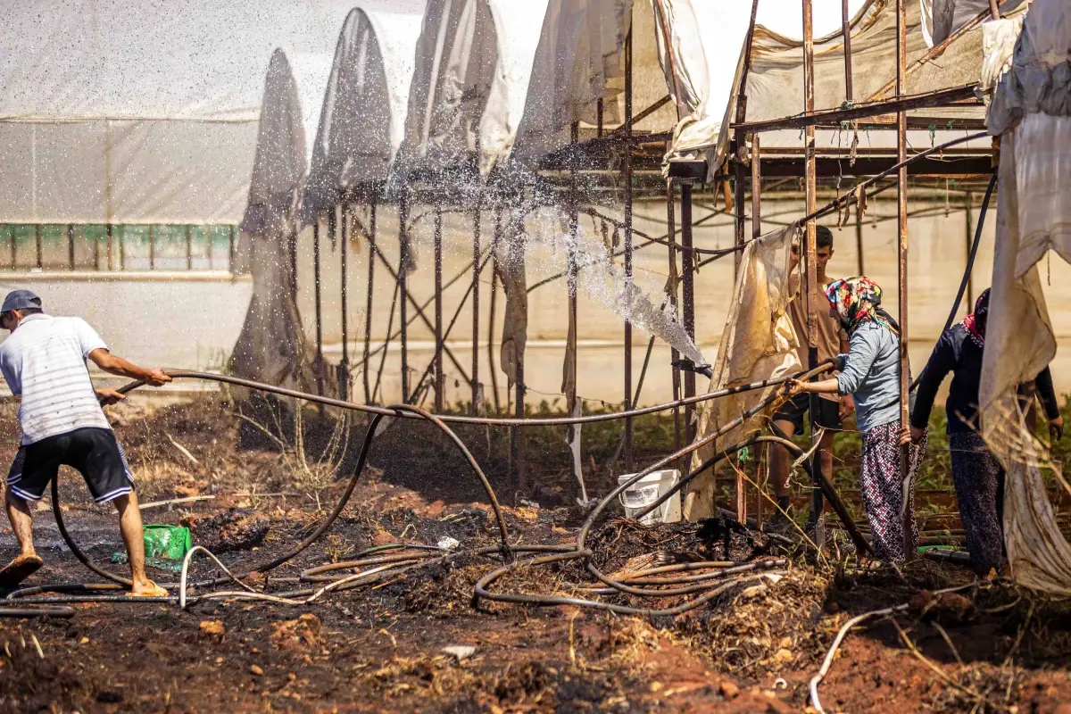 Antalya'da Seraların Bulunduğu Ormanda Yangın Çıktı