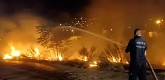 Hatay'da Asi Nehri çevresinde çıkan yangın söndürüldü