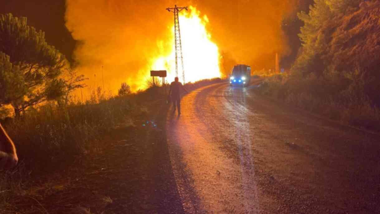 Aydın'da zamanla yarış! Gönüllüler ve gazeteciler alevlerin arasında kalmaktan son anda kurtuldular