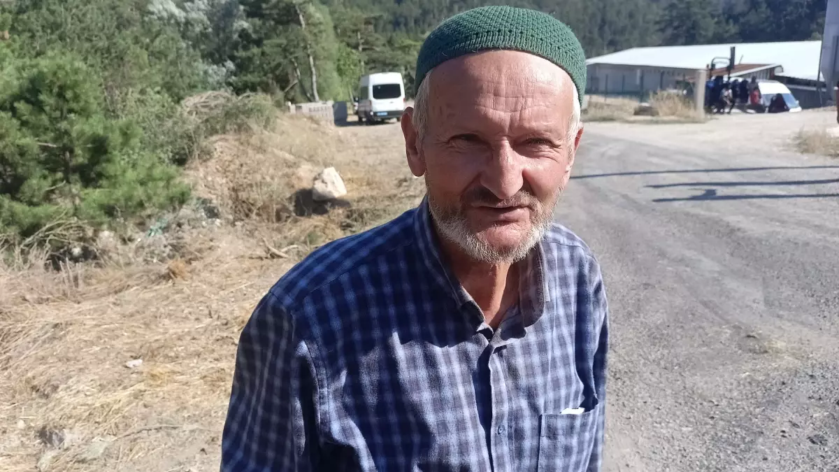 Bolu'da çıkan orman yangınında durum kontrol altına alındı