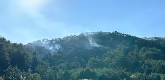 Bolu'daki Orman Yangını Bölge Halkı Tarafından Merakla İzleniyor